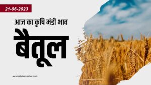 Mandi Bhav Betul जानिए कृषि उपज मंडी बैतूल का आज 21-06-2023 का लेटेस्ट मंडी भाव
