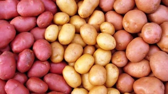 Pink Potato : गुलाबी आलू की मार्केट में तगड़ी डिमांड ,खेती कर किसान कमा रहे हैं  बढ़िया मुनाफा