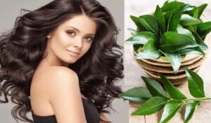 15176 curry leaves for hair growth min