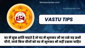 Vastu Tips For Home Ghar Par Bhulkar Bhi Na Rakhe Yeh Saman