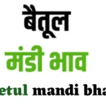 Betul Mandi Bhav: 28 मार्च 2024 के सभी फसलों के भाव जाने, देखे मंडी भाव लिस्ट…