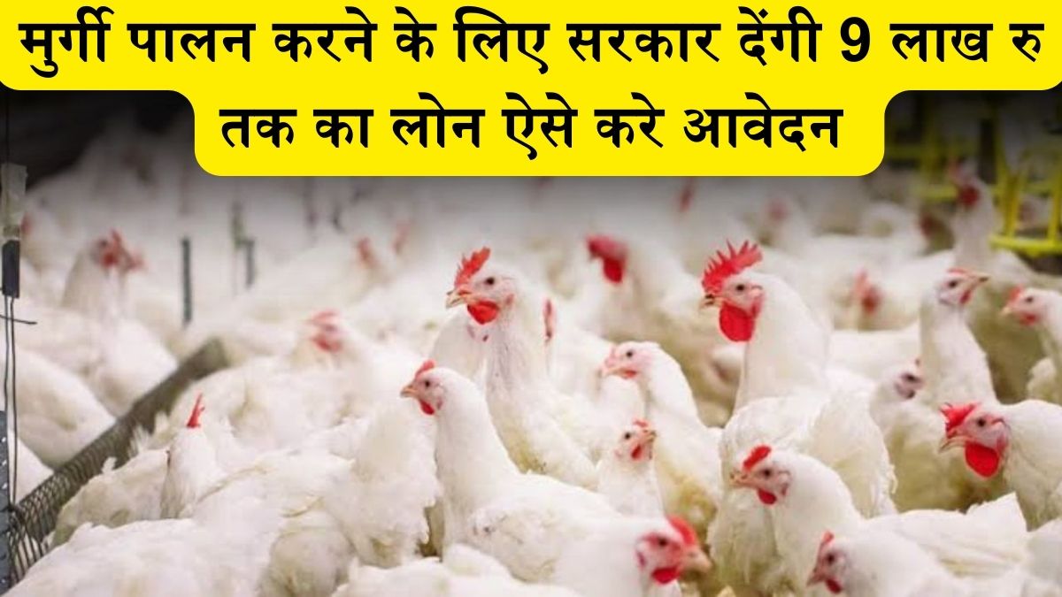 Poultry Farm Loan Yojana : मुर्गी पालन करने के लिए सरकार देंगी 9 लाख रु तक का लोन, ऐसे करे आवेदन