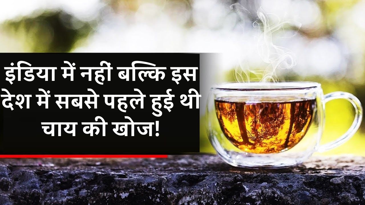 इंडिया में नहीं बल्कि इस देश में सबसे पहले हुई थी चाय की खोज! क्या आपको पता है...