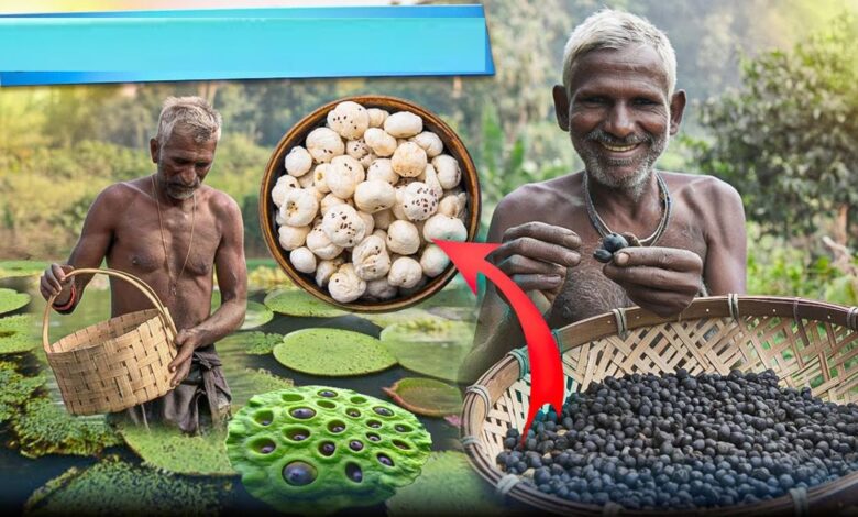 हेल्दी खाने के लिए लोग हो रहे बेताब, डिमांडिंग दुनिया में कर डालो ये सुपर बिजनेस, देखो कमाल