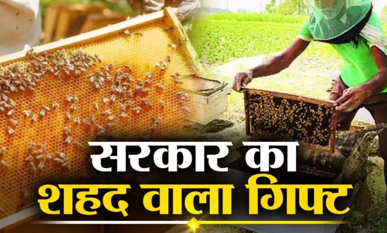 शहद से अंधी कमाई करेंगे देश के युवा सरकार भी देगी सहायता देखे पूरा प्लान