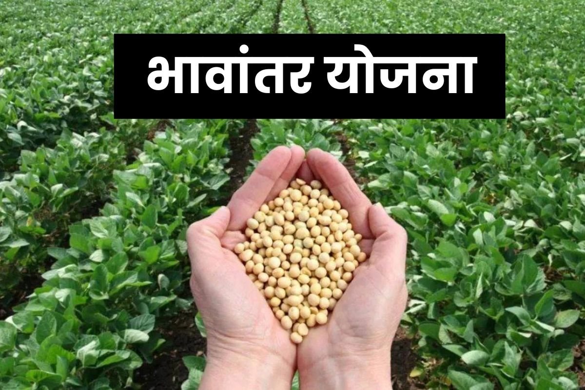 भावांतर योजना